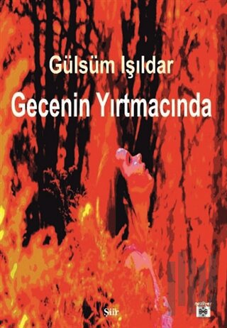 Gecenin Yırtmacında