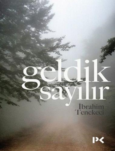 Geldik Sayılır | Kitap Ambarı