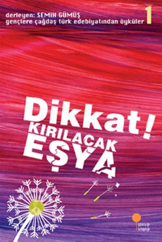 Dikkat! Kırılacak Eşya | Kitap Ambarı