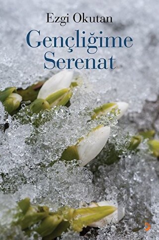 Gençliğime Serenat | Kitap Ambarı