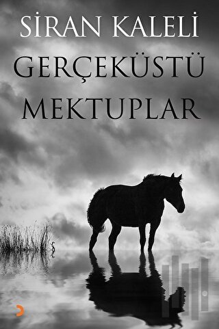 Gerçeküstü Mektuplar | Kitap Ambarı