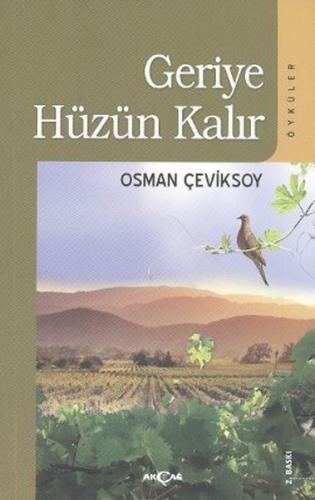 Geriye Hüzün Kalır | Kitap Ambarı