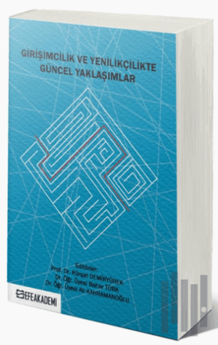 Girişimcilik ve Yenilikçilikte Güncel Yaklaşımlar | Kitap Ambarı