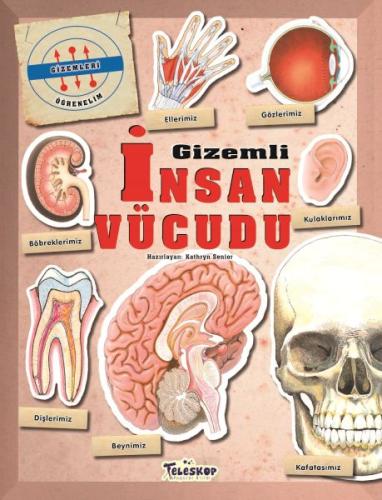 Gizemleri Öğrenelim - Gizemli İnsan Vücudu | Kitap Ambarı