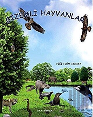 Gizemli Hayvanlar | Kitap Ambarı