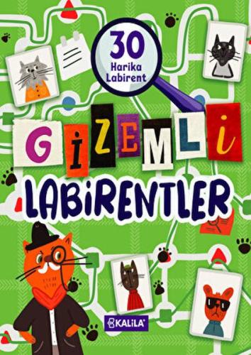 Gizemli Labirentler | Kitap Ambarı