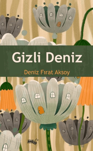 Gizli Deniz | Kitap Ambarı