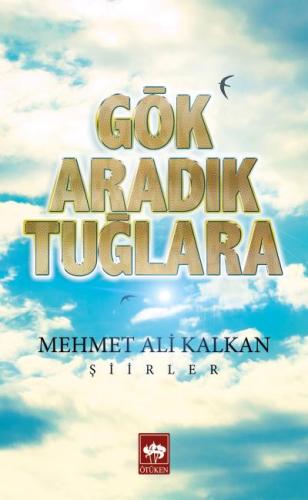 Gök Aradık Tuğlara | Kitap Ambarı