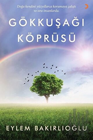 Gökkuşağı Köprüsü | Kitap Ambarı