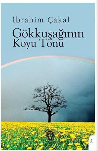 Gökkuşağının Koyu Tonu | Kitap Ambarı