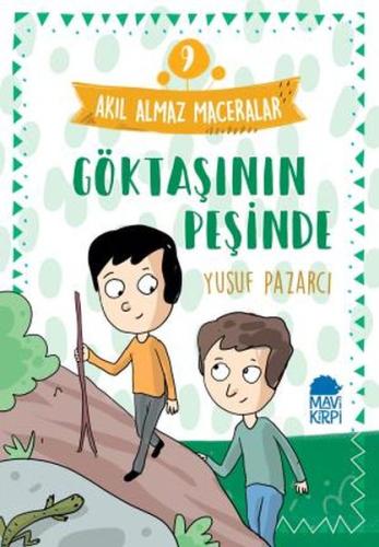 Göktaşının Peşinde - Akıl Almaz Maceralar 9 | Kitap Ambarı