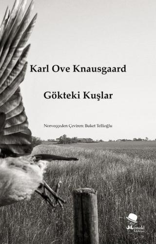 Gökteki Kuşlar | Kitap Ambarı