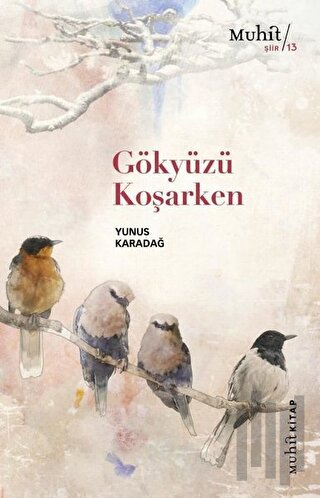 Gökyüzü Koşarken | Kitap Ambarı