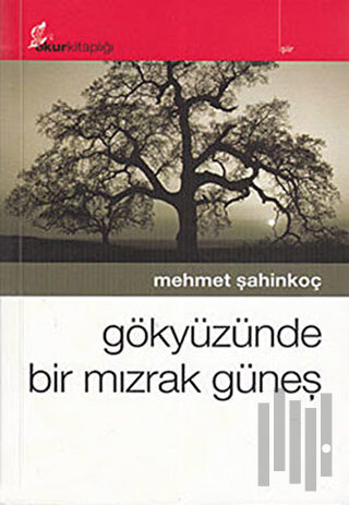 Gökyüzünde Bir Mızrak Güneş | Kitap Ambarı