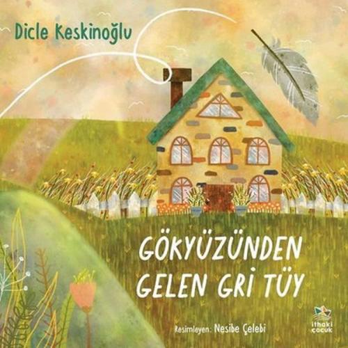 Gökyüzünden Gelen Gri Tüy | Kitap Ambarı