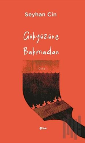 Gökyüzüne Bakmadan | Kitap Ambarı