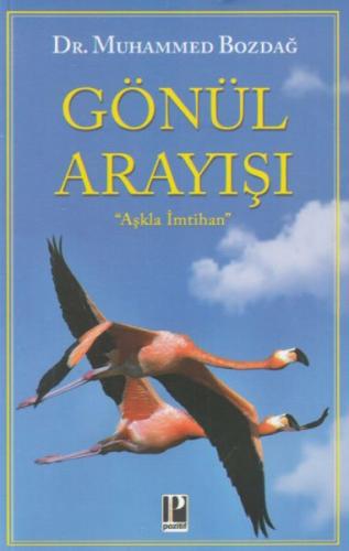 Gönül Arayışı | Kitap Ambarı