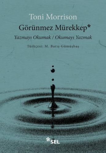 Görünmez Mürekkep: Yazmayı Okumak - Okumayı Yazmak | Kitap Ambarı