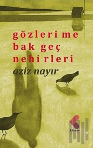 Gözlerime Bak Geç Nehirleri | Kitap Ambarı