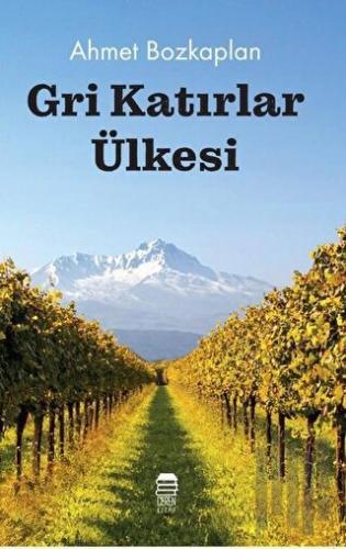 Gri Katırlar Ülkesi | Kitap Ambarı