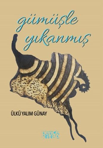 Gümüşle Yıkanmış | Kitap Ambarı