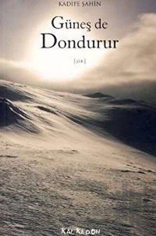 Güneş de Dondurur | Kitap Ambarı