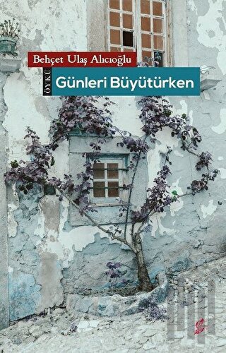 Günleri Büyütürken | Kitap Ambarı