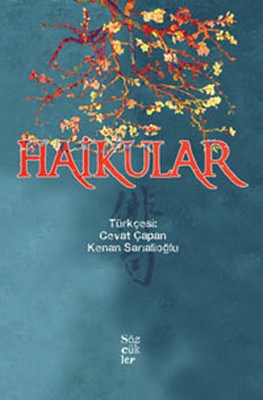 Haikular | Kitap Ambarı