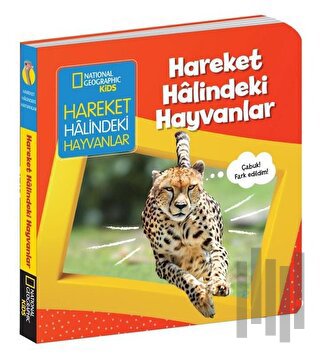 Hareket Halindeki Hayvanlar - İlk Kitaplarım Serisi (Ciltli) | Kitap A