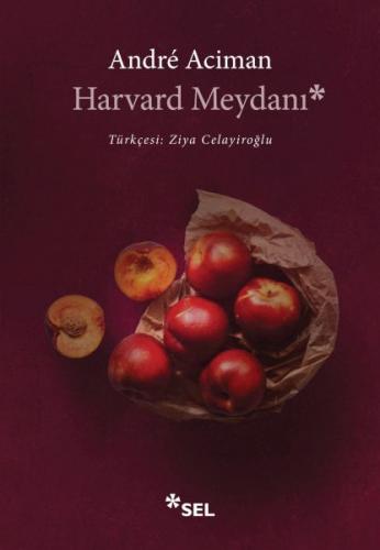 Harvard Meydanı | Kitap Ambarı