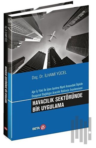 Havacılık Sektöründe Bir Uygulama | Kitap Ambarı