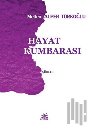 Hayat Kumbarası | Kitap Ambarı