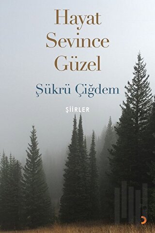 Hayat Sevince Güzel | Kitap Ambarı