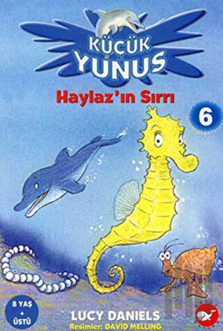 Haylaz’ın Sırrı | Kitap Ambarı