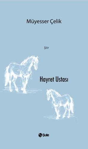 Hayret Ustası | Kitap Ambarı