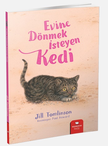 Evine Dönmek İsteyen Kedi | Kitap Ambarı