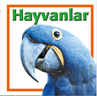 Hayvanlar (Ciltli) | Kitap Ambarı