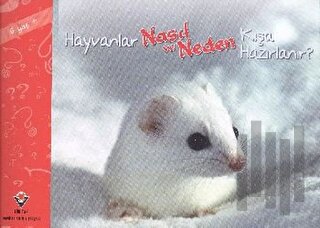 Hayvanlar Nasıl ve Neden Kışa Hazırlanır | Kitap Ambarı