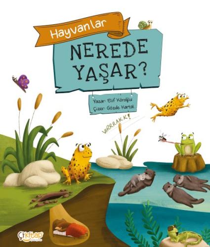 Hayvanlar Nerede Yaşar ? | Kitap Ambarı