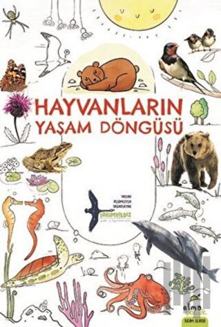 Hayvanların Yaşam Döngüsü | Kitap Ambarı