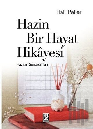 Hazin Bir Hayat Hikayesi | Kitap Ambarı