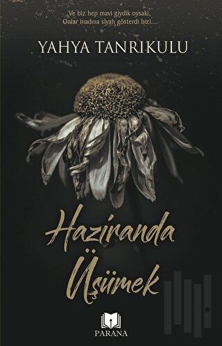 Haziranda Üşümek | Kitap Ambarı