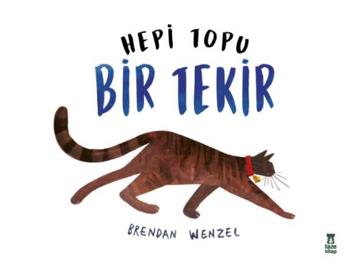 Hepi Topu Bir Tekir | Kitap Ambarı