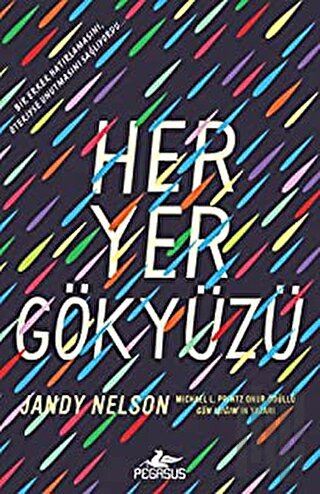 Her Yer Gökyüzü | Kitap Ambarı