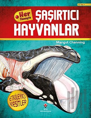 Her Yönüyle Şaşırtıcı Hayvanlar | Kitap Ambarı