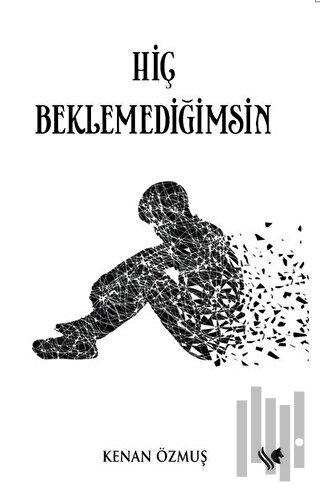 Hiç Beklemediğimsin | Kitap Ambarı