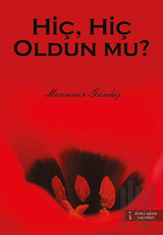 Hiç, Hiç Oldun mu? | Kitap Ambarı