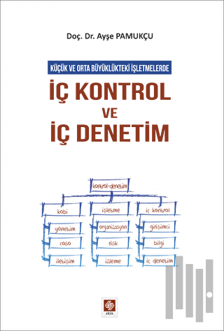 İç Kontrol ve İç Denetim | Kitap Ambarı