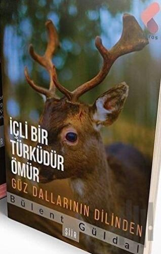 İçli Bir Türküdür Ömür | Kitap Ambarı