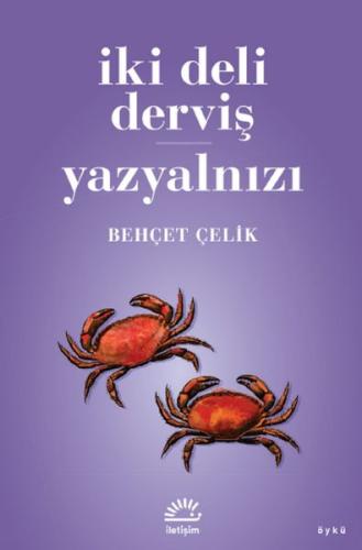 İki Deli Derviş - Yazyalnızı | Kitap Ambarı